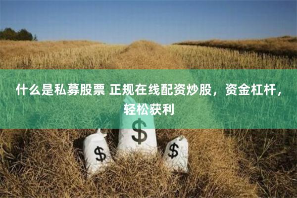 什么是私募股票 正规在线配资炒股，资金杠杆，轻松获利