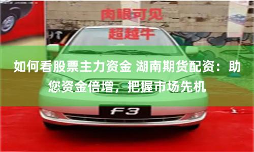 如何看股票主力资金 湖南期货配资：助您资金倍增，把握市场先机